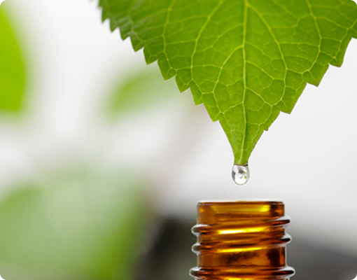 Изображение устойчивого развития BABOR